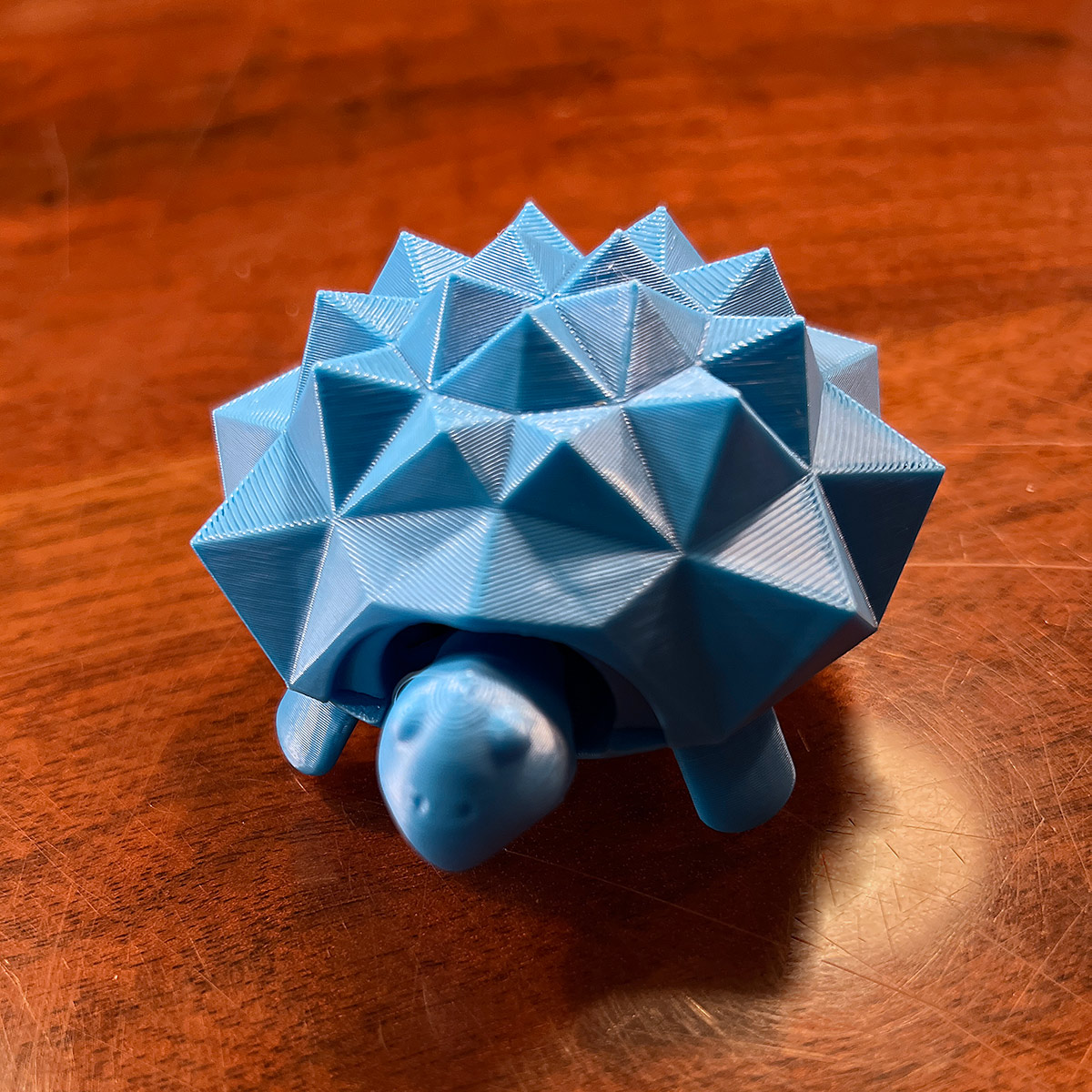 Squishy Turtle